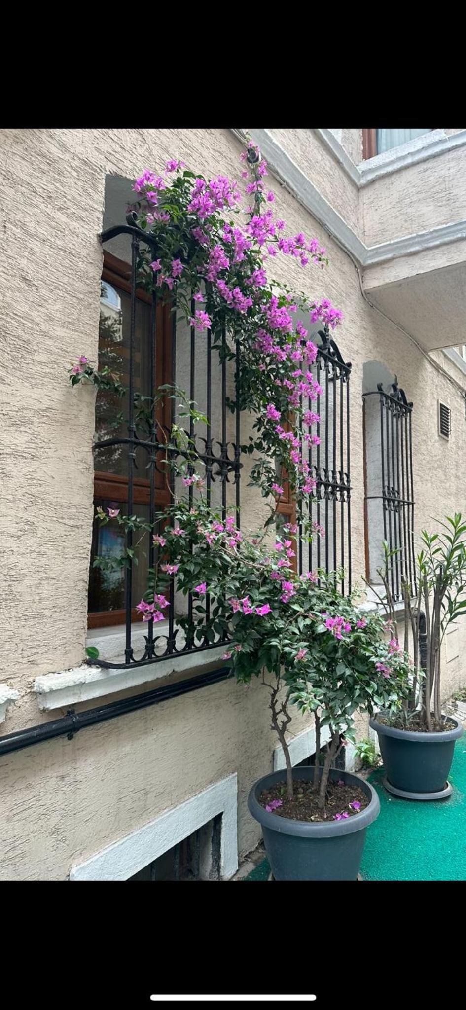 Hotel Orkide - Image 6