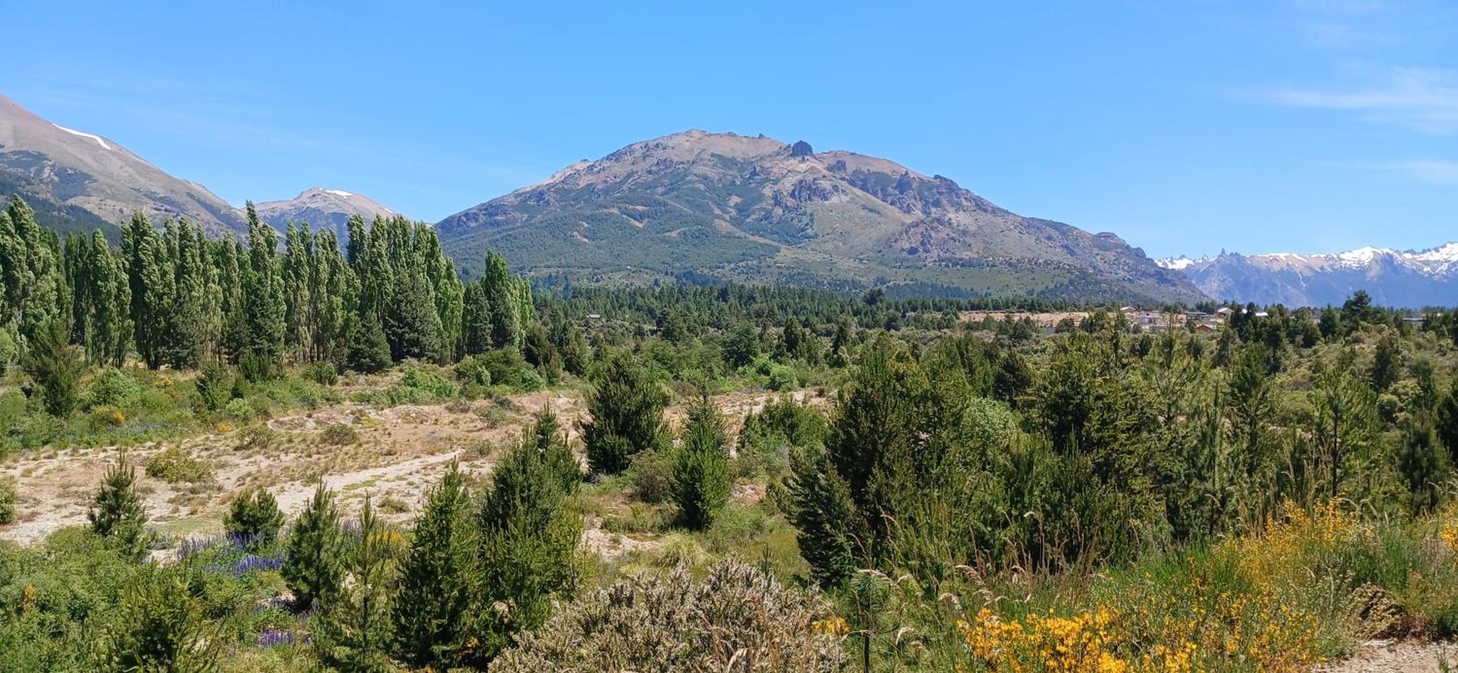 Cabaña Challhuaco