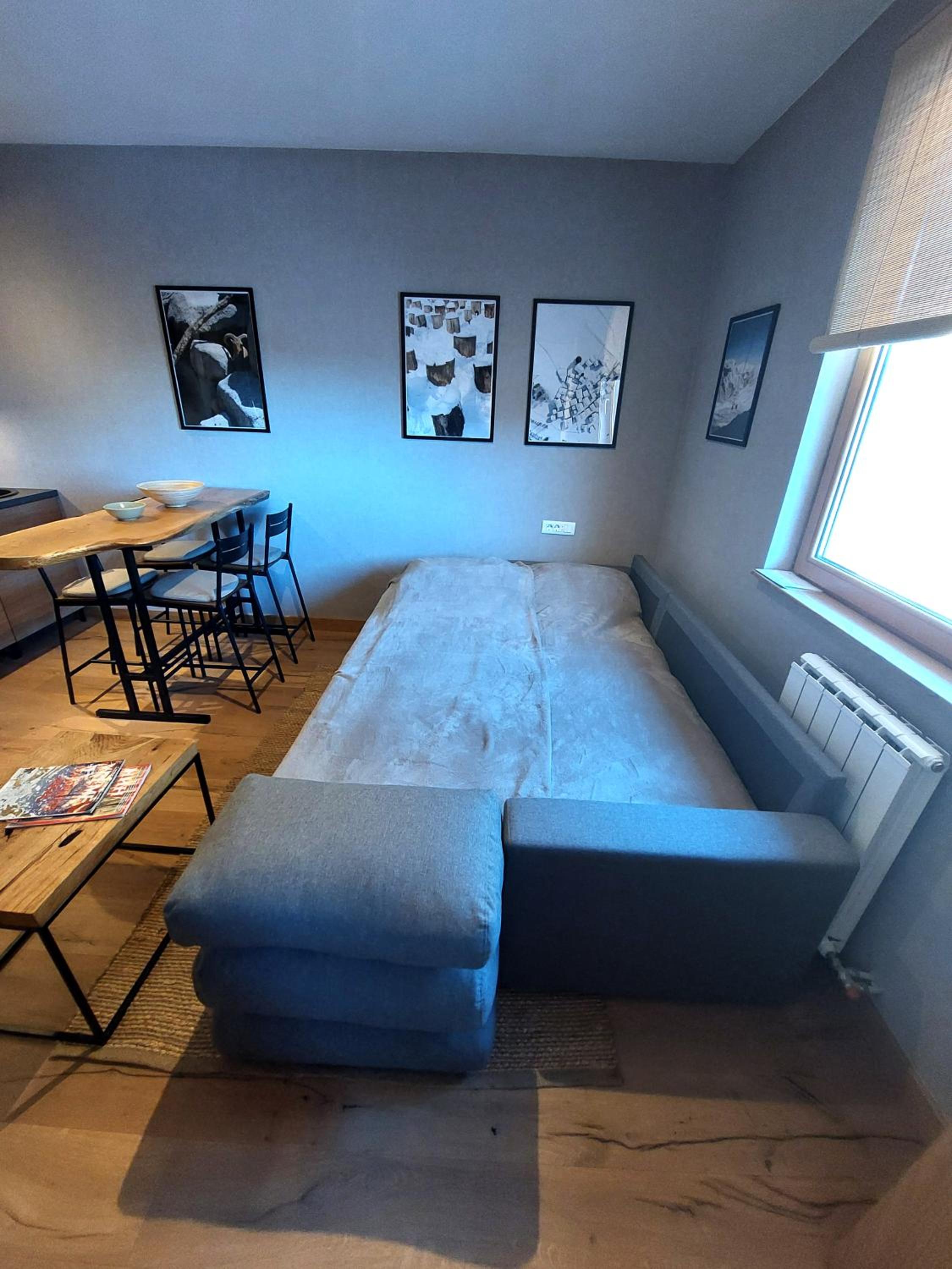 Apartment C519 - Aparthotel Vučko Jahorina - Private Host