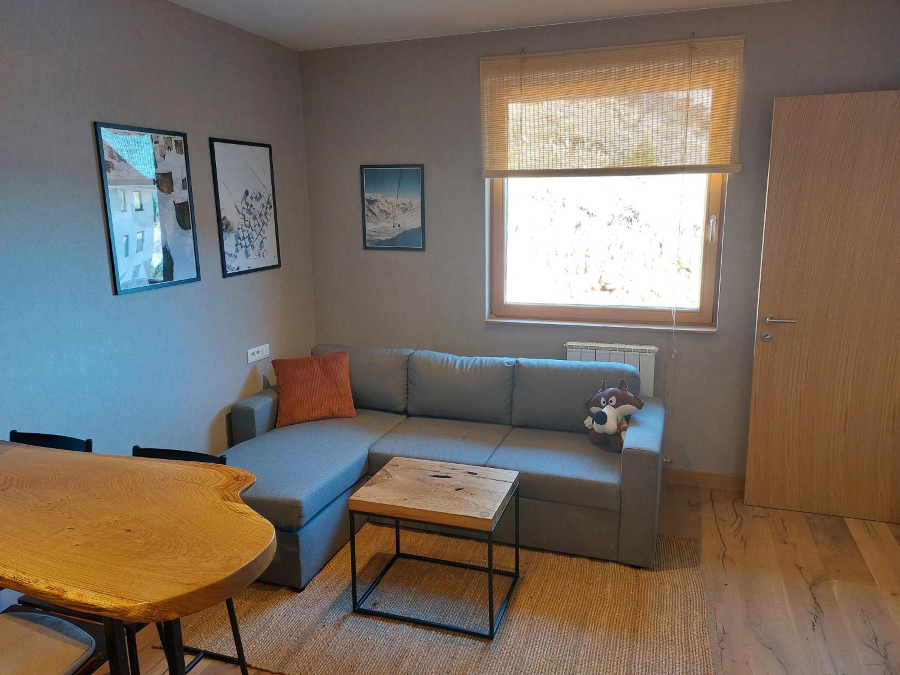 Apartment C519 - Aparthotel Vučko Jahorina - Private Host