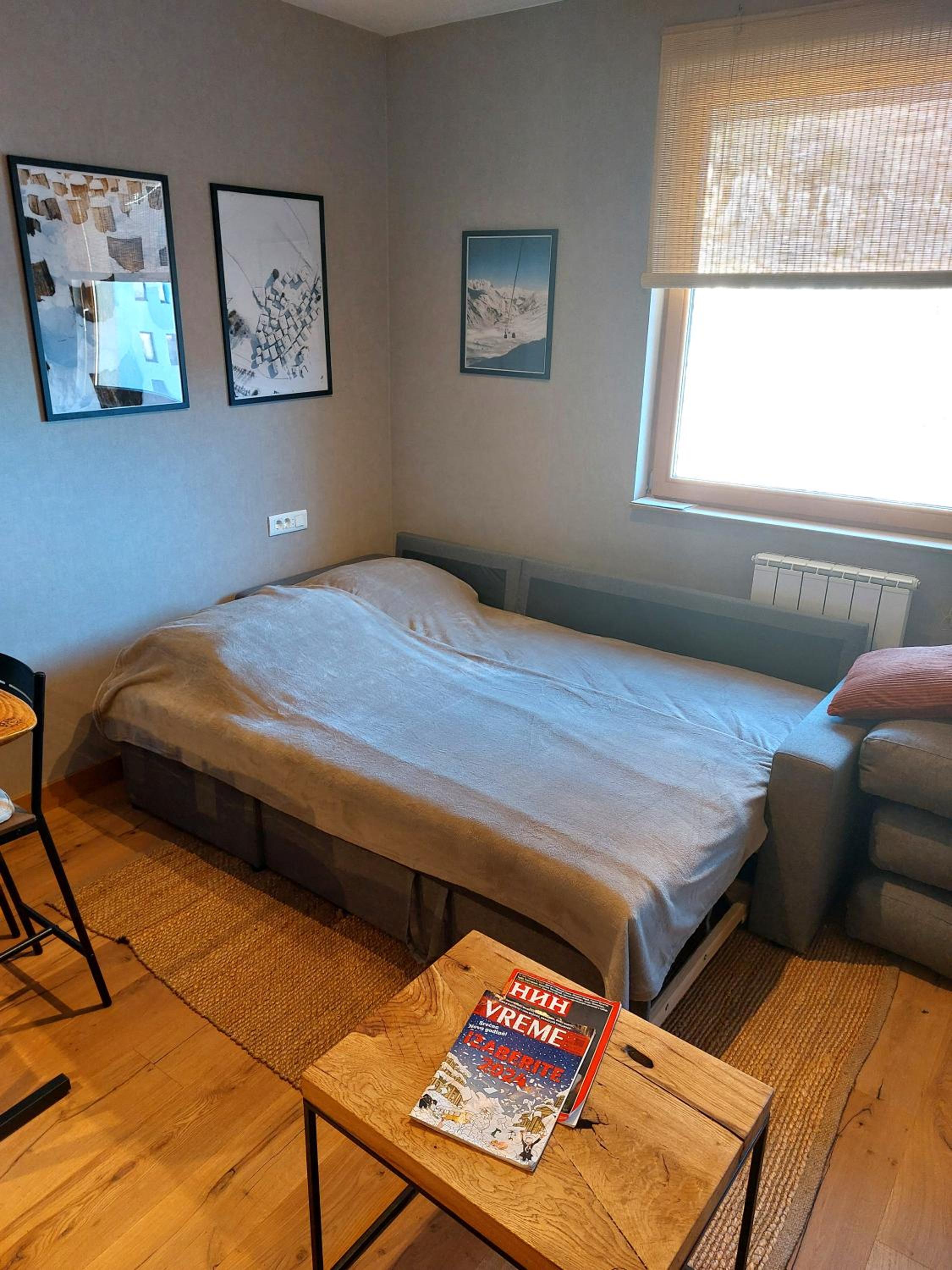 Apartment C519 - Aparthotel Vučko Jahorina - Private Host