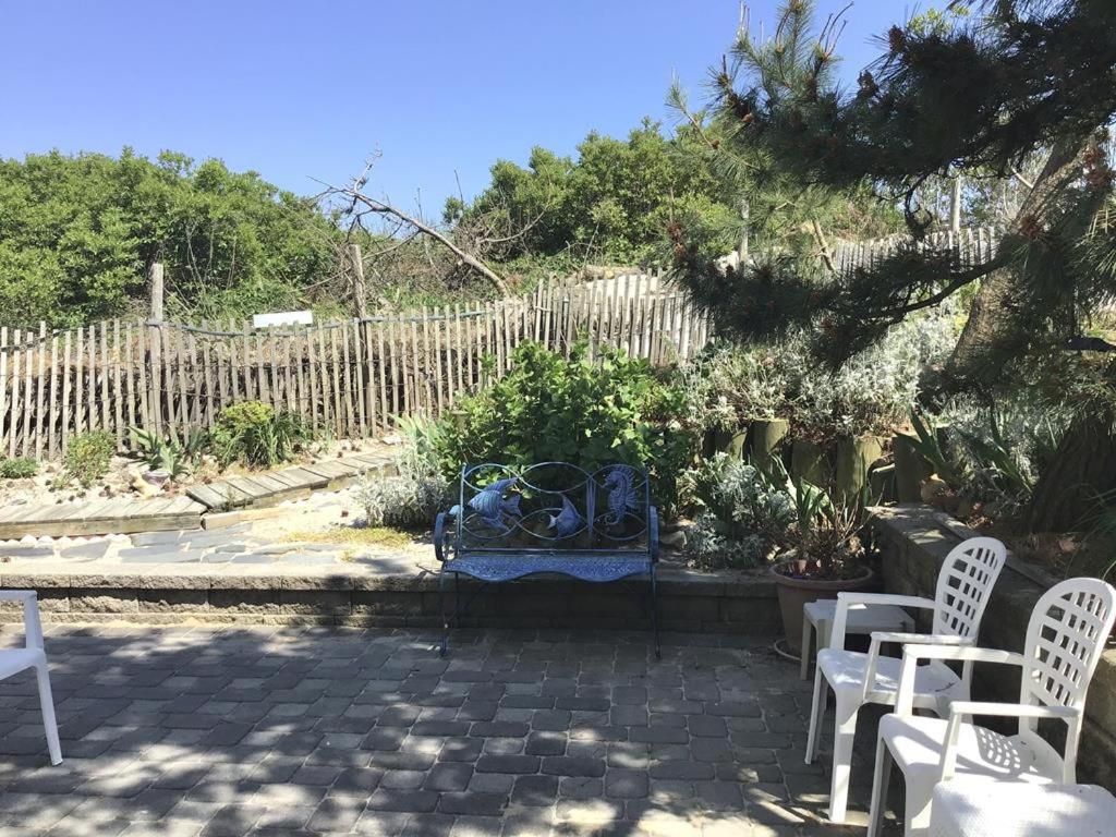 Photo 21