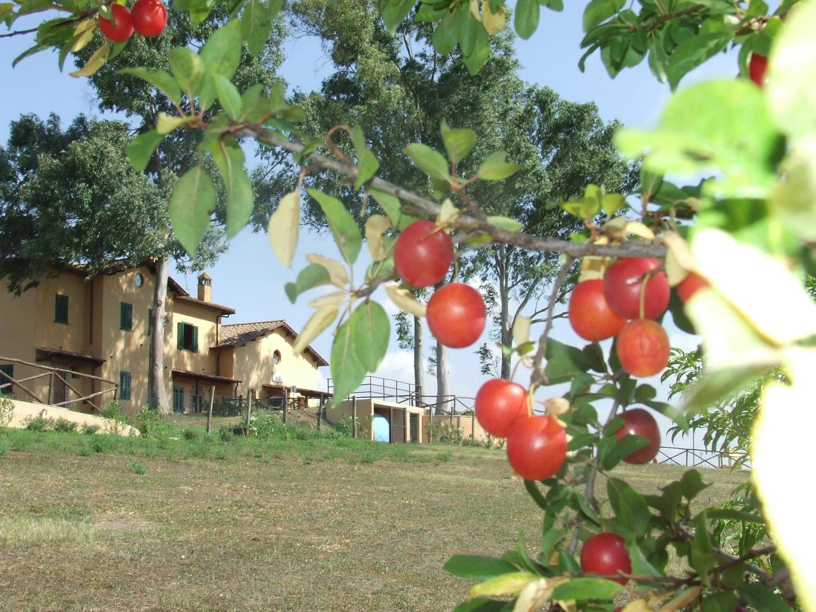 Il Casale Di Roma
