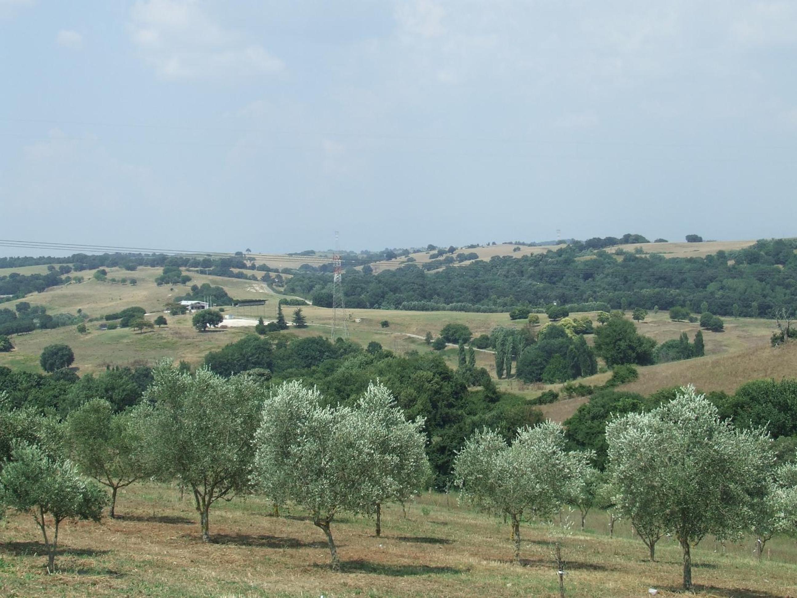 Il Casale Di Roma