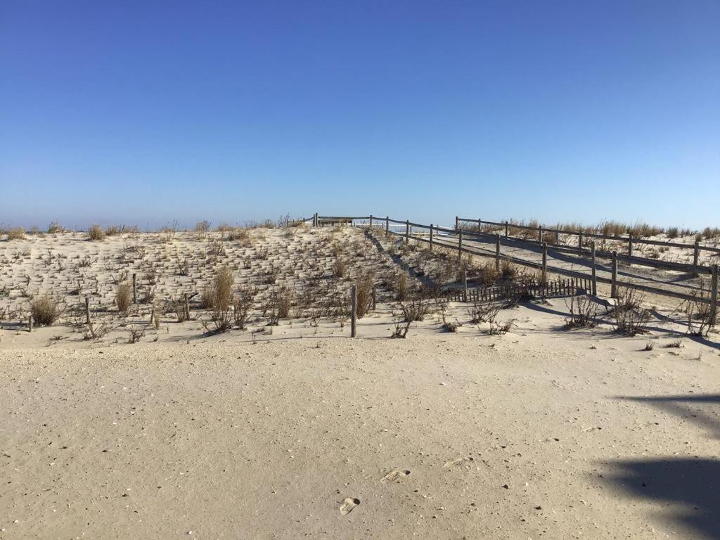 Pet Friendly Beachfront Vacation Rental On Lbi view 3