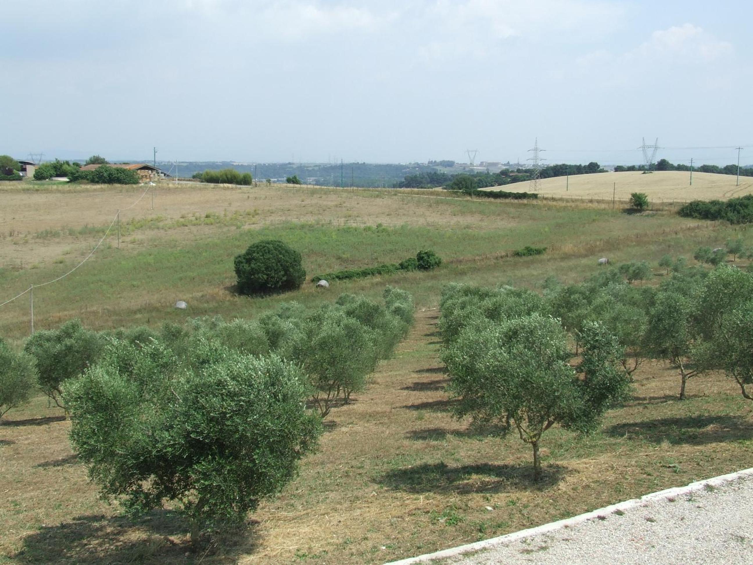Il Casale Di Roma