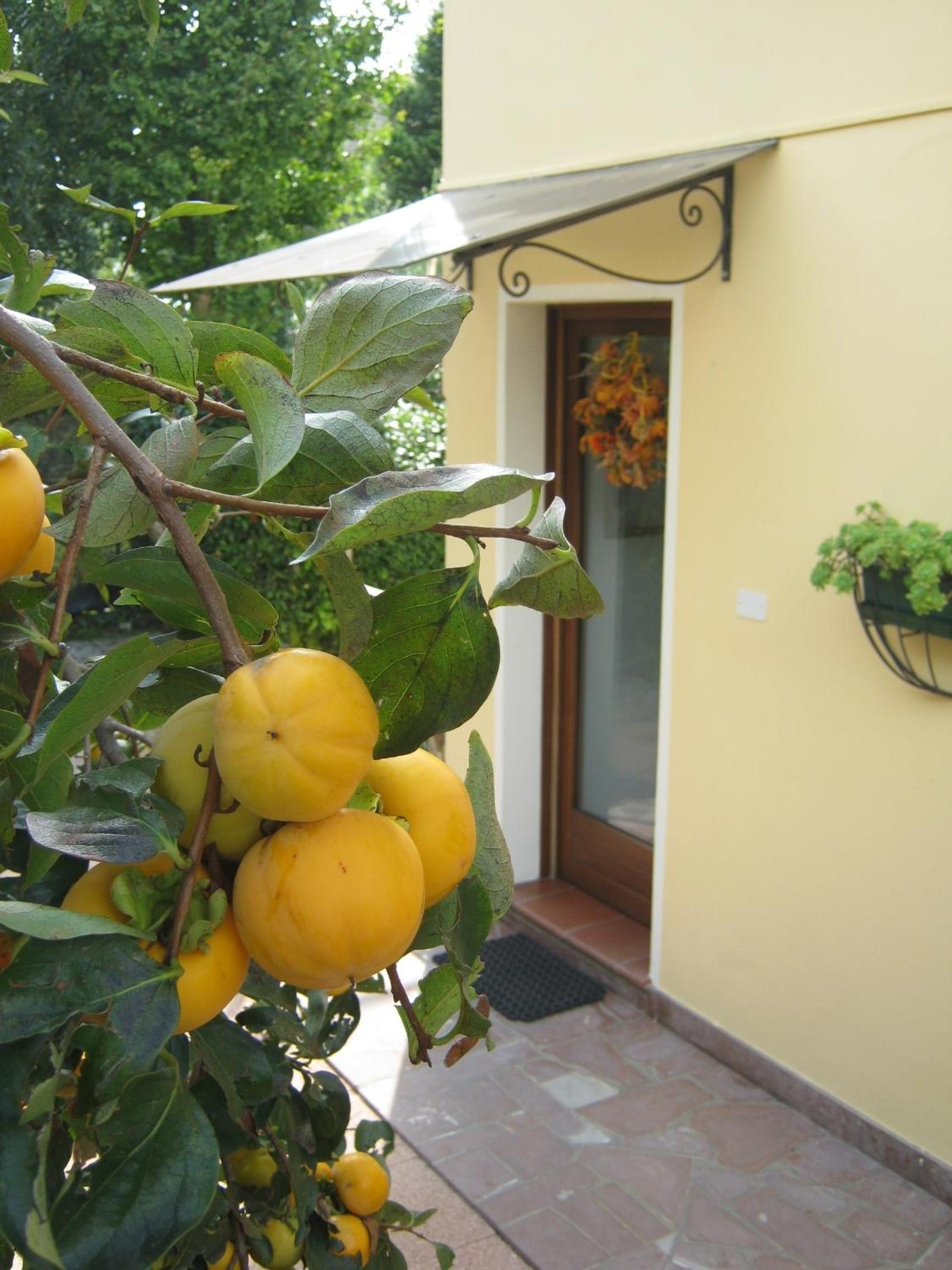 La Residence da Caterina, photo 73