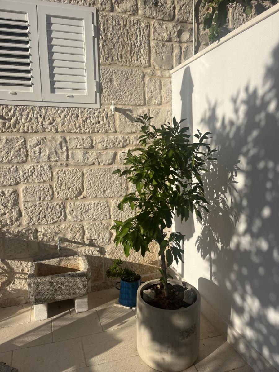 Photo 37