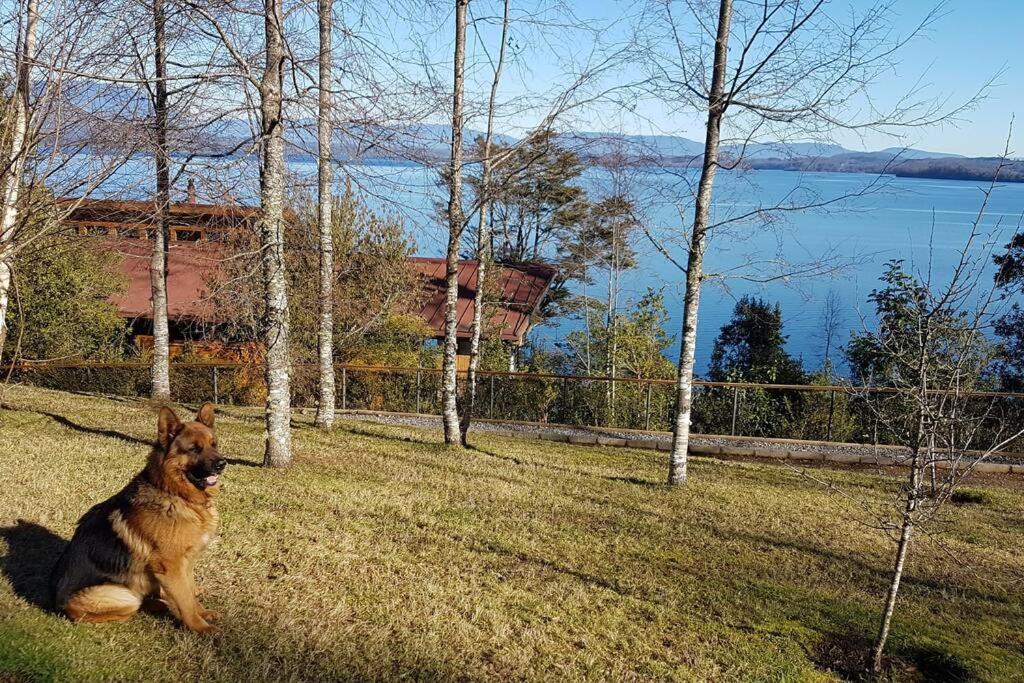 Orilla Lago Calafquén Muelle Privado