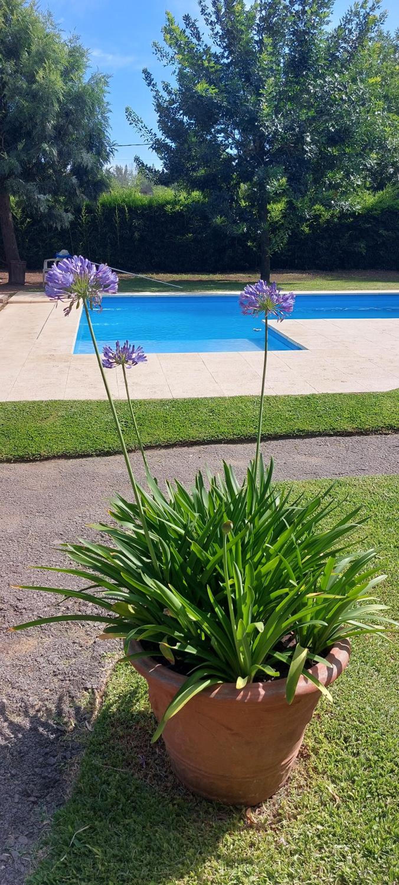 La Clarita , hospedaje boutique de descanso
