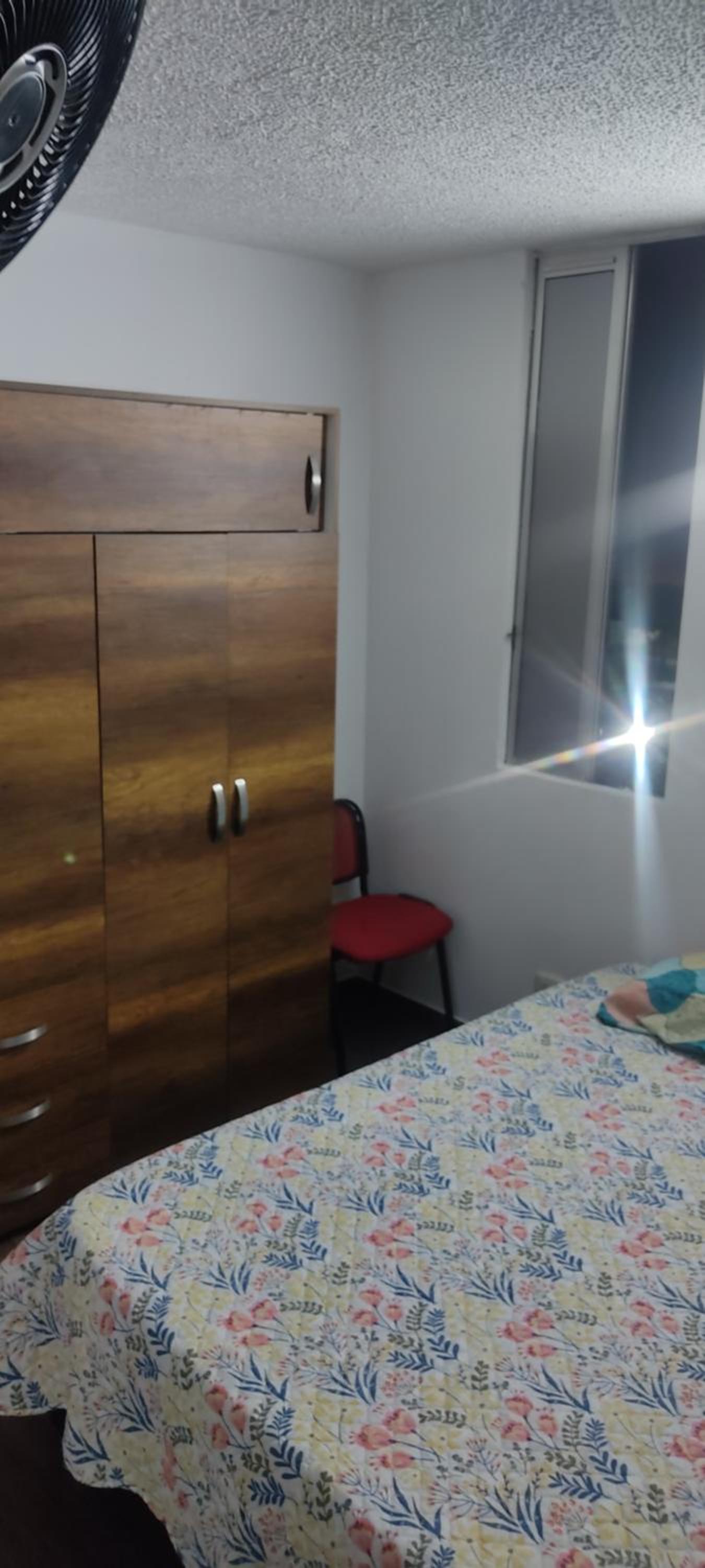 Apartamento Flandes