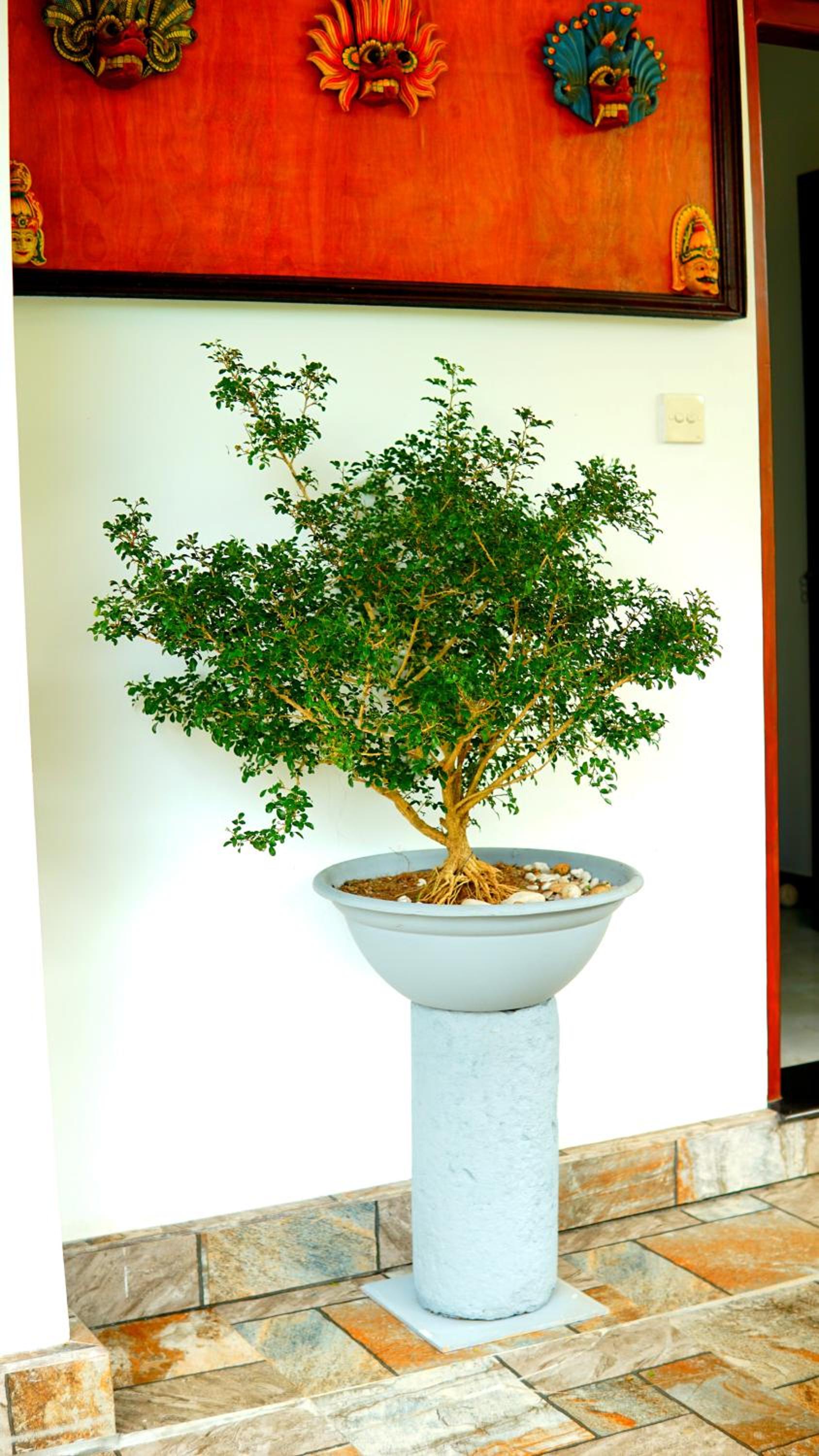 Photo 12