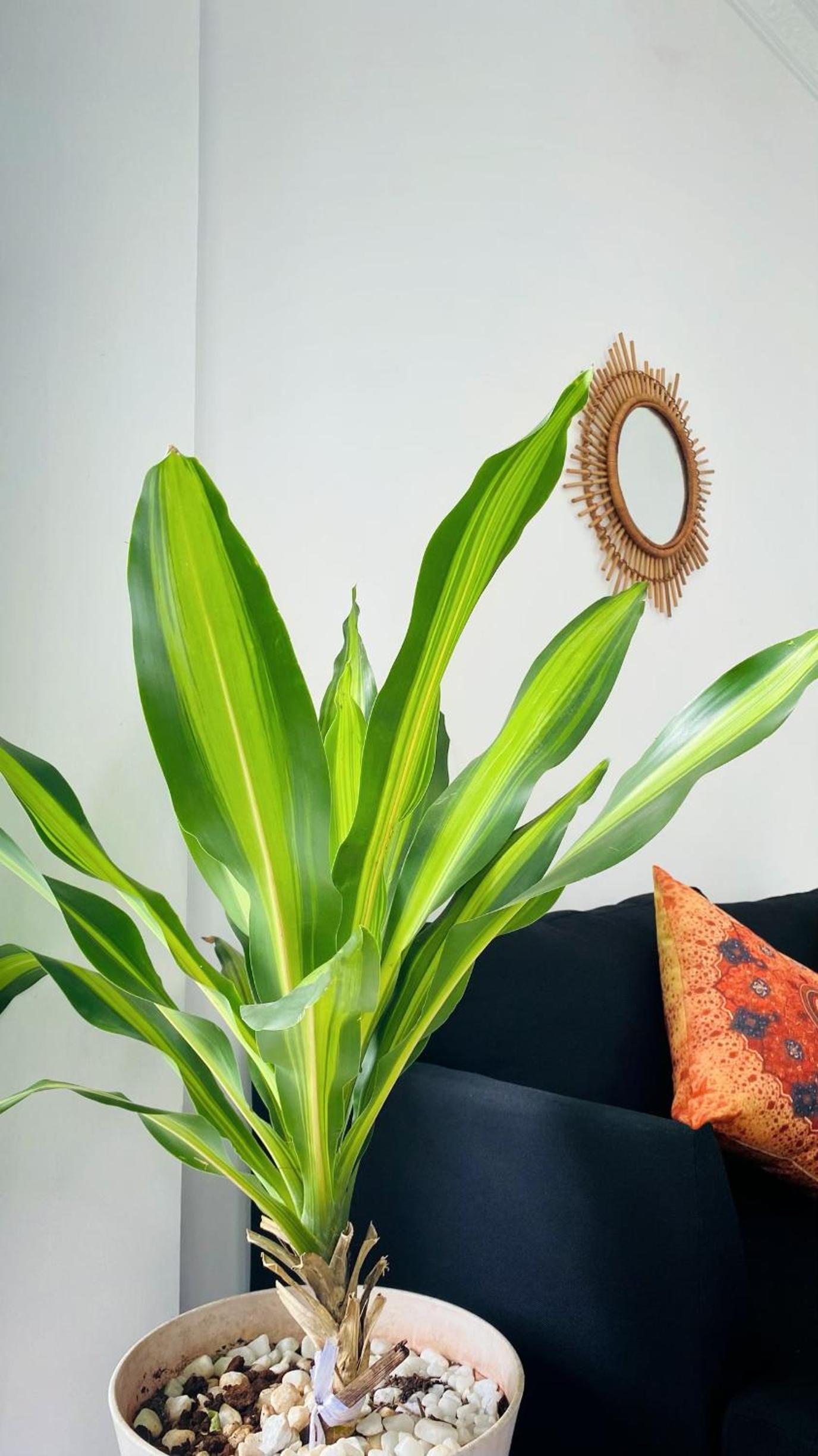Gem Villa 67, biệt thự 15 phòng có hồ bơi lớn