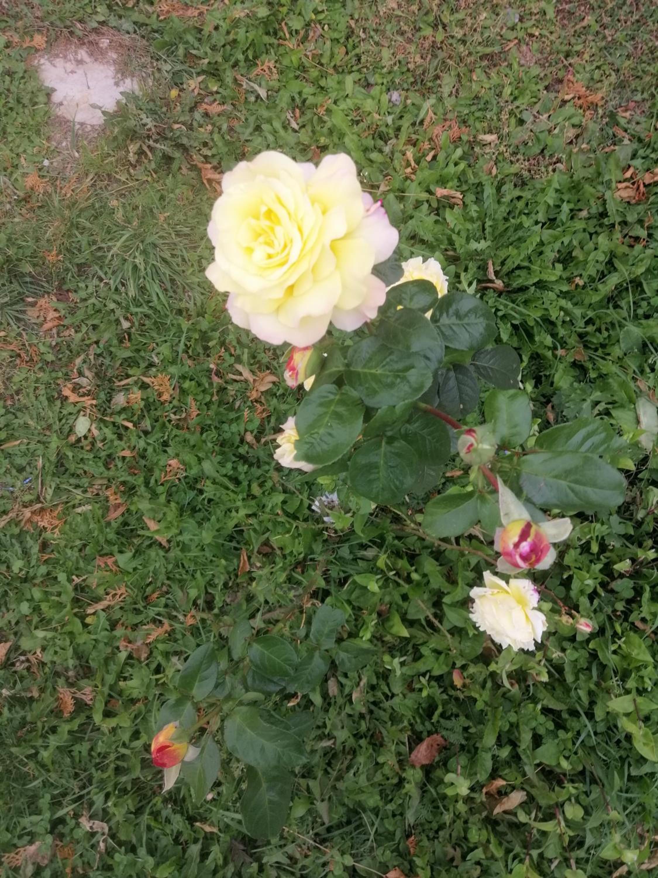 Photo 24