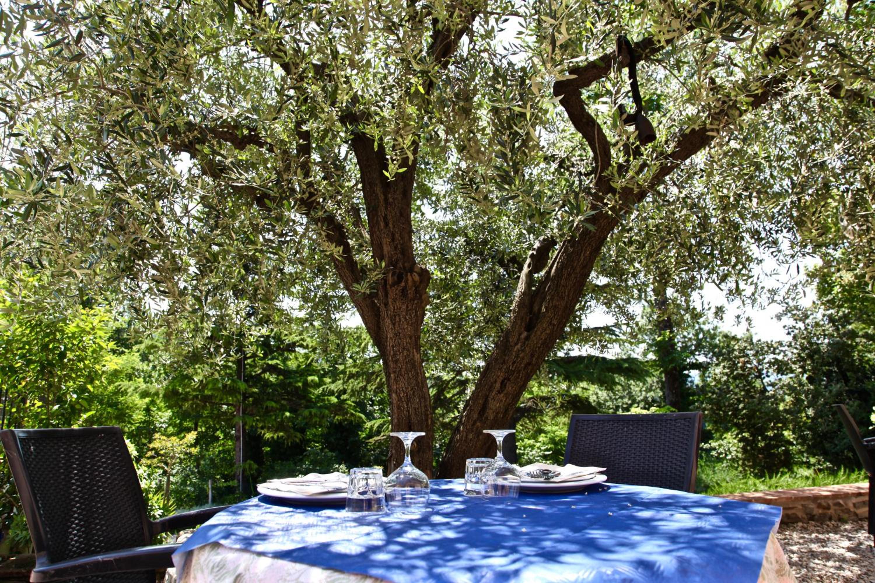 Agriturismo Biologico Villa Rosa