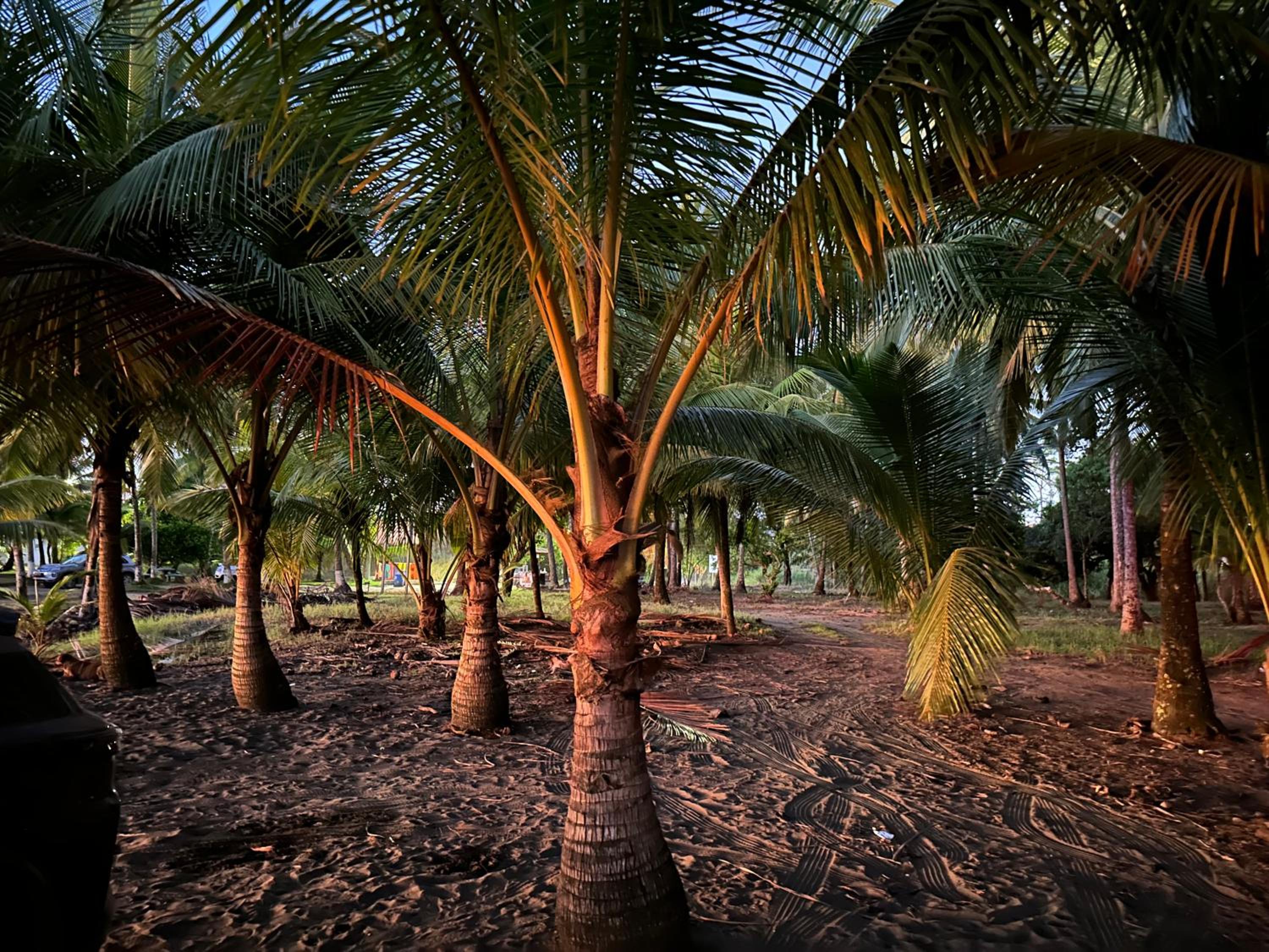 Casa Paraiso Parrita