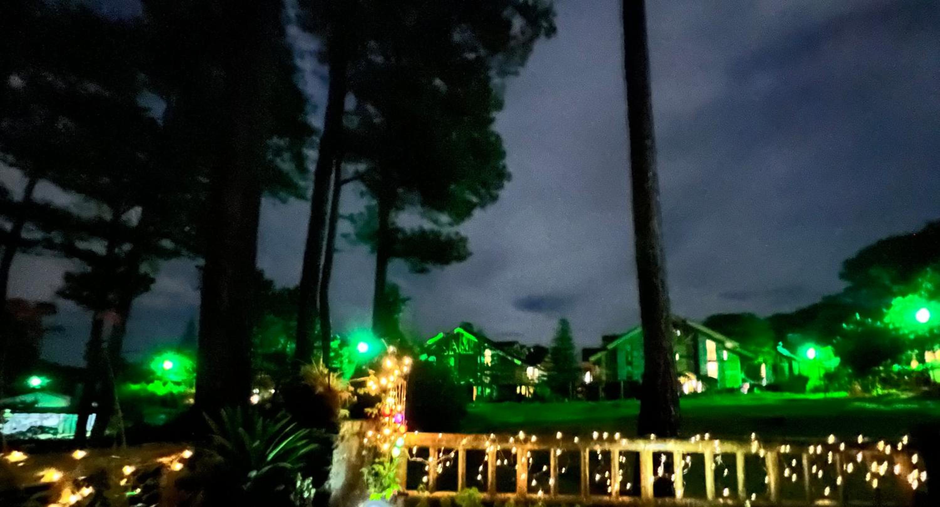 Forest Estate,Campjohnhay, photo 9