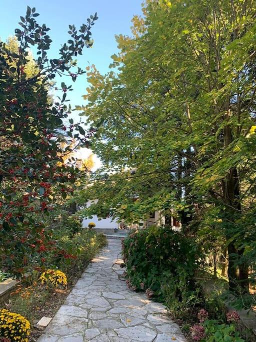 Photo 39