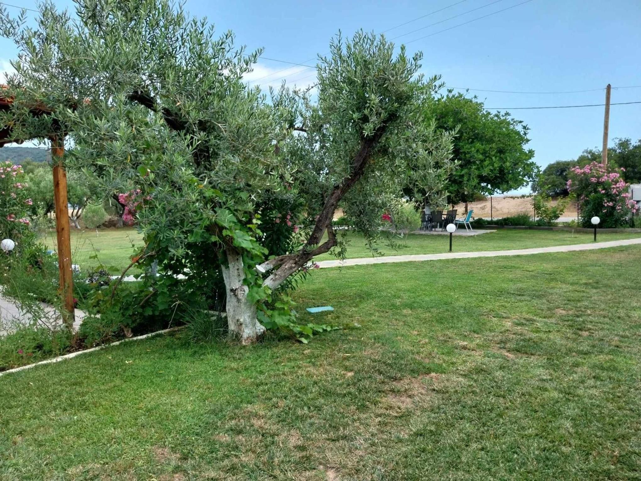 Photo 22