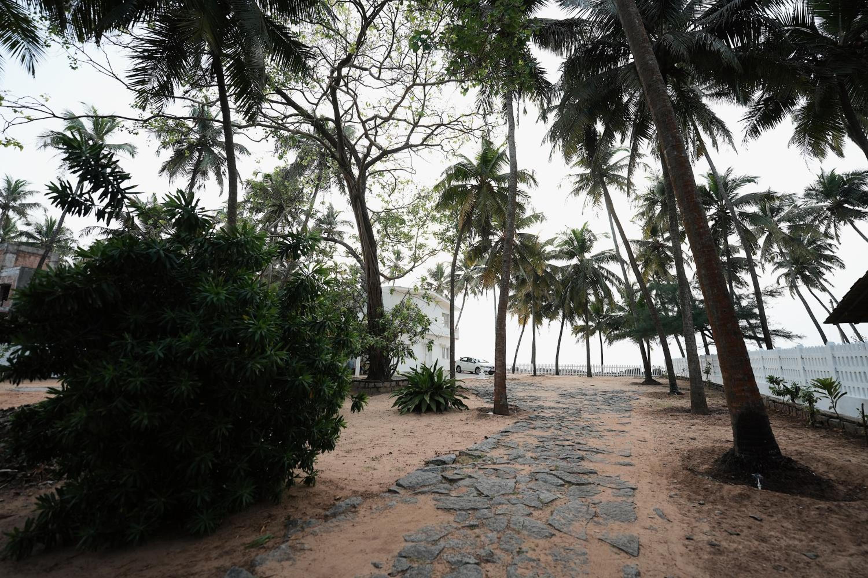 Photo 20