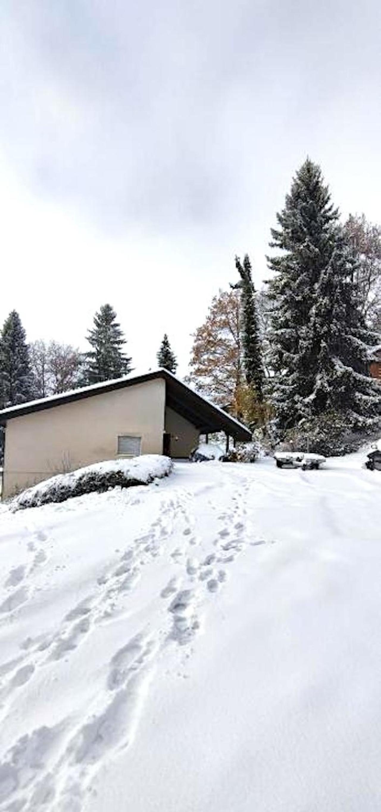 Bodea Alpenblick