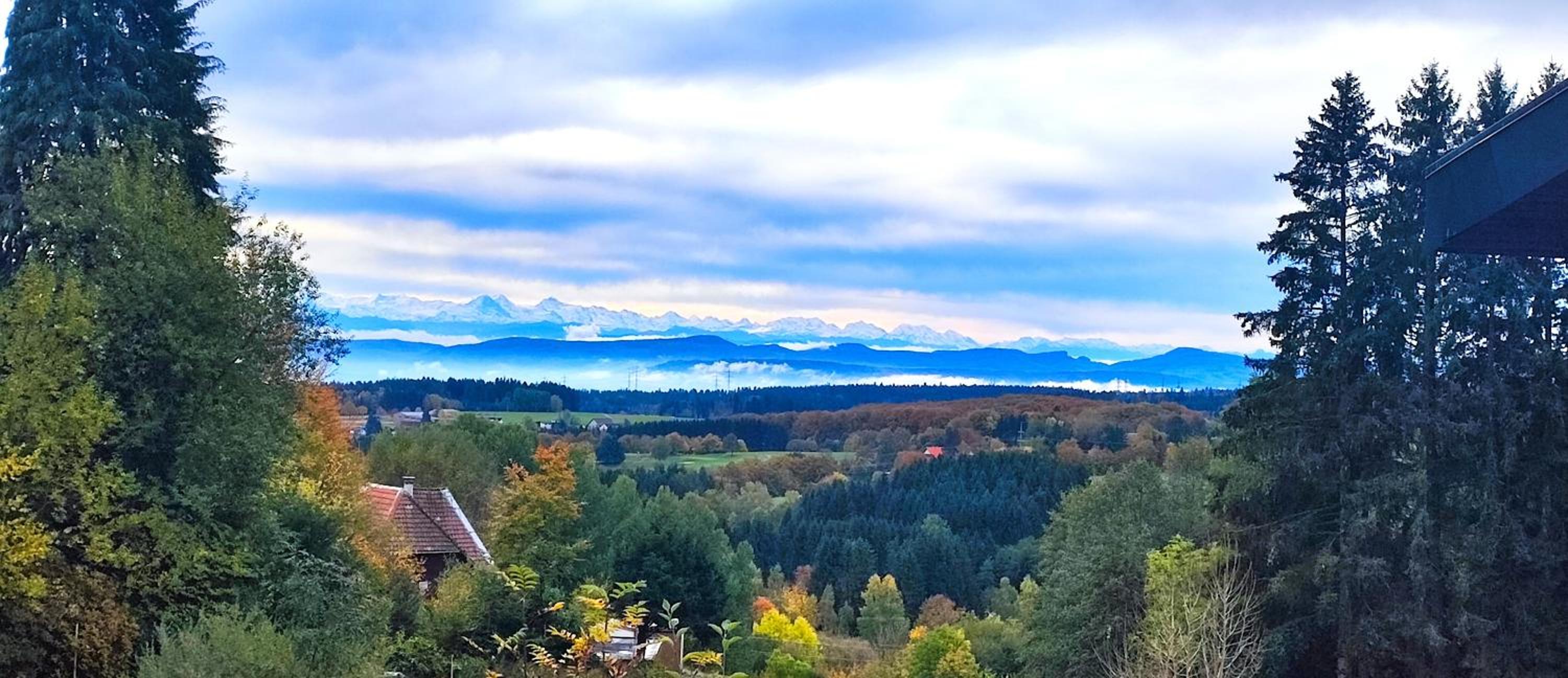 Bodea Alpenblick