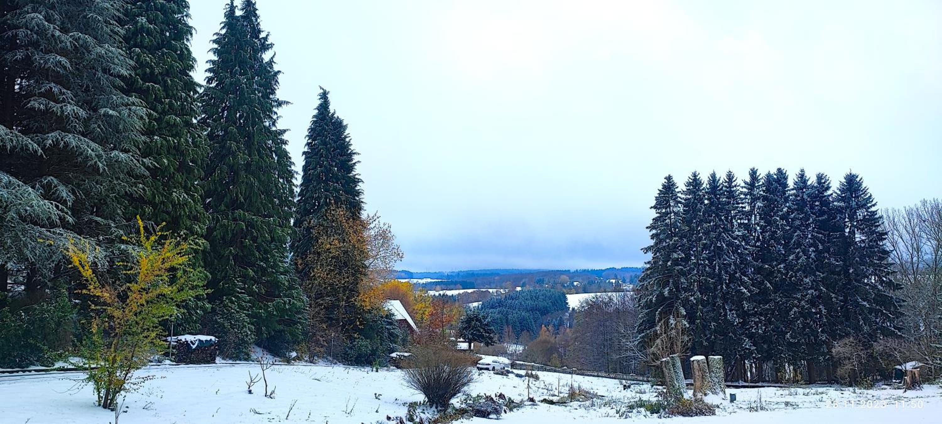 Bodea Alpenblick