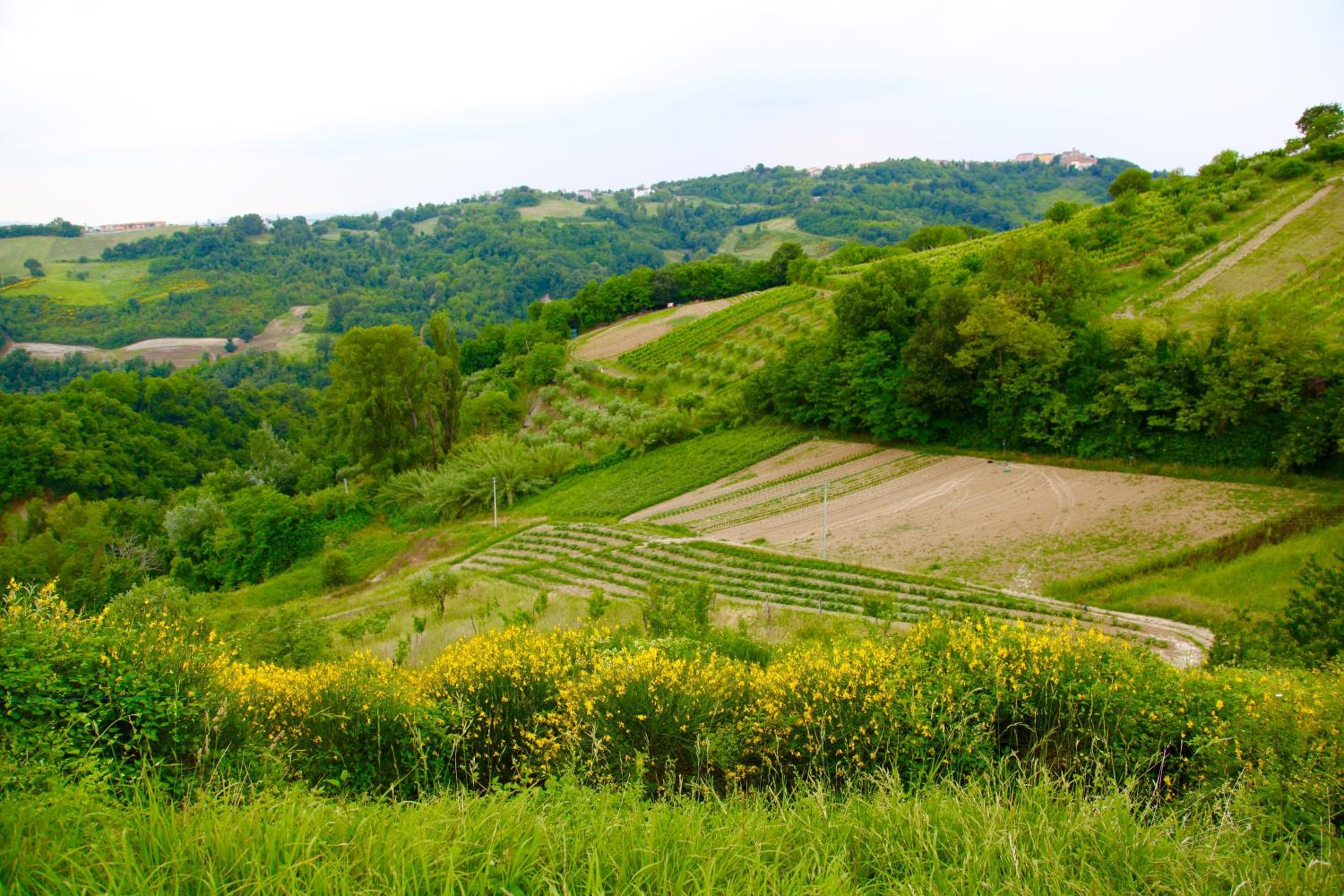 Agriturismo Biologico Villa Rosa