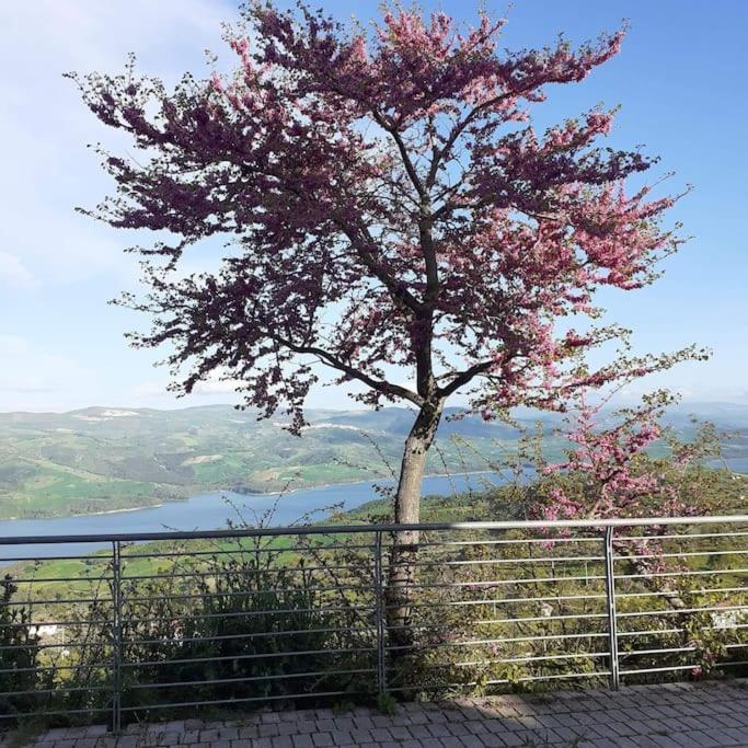 alloggio belvedere & relax