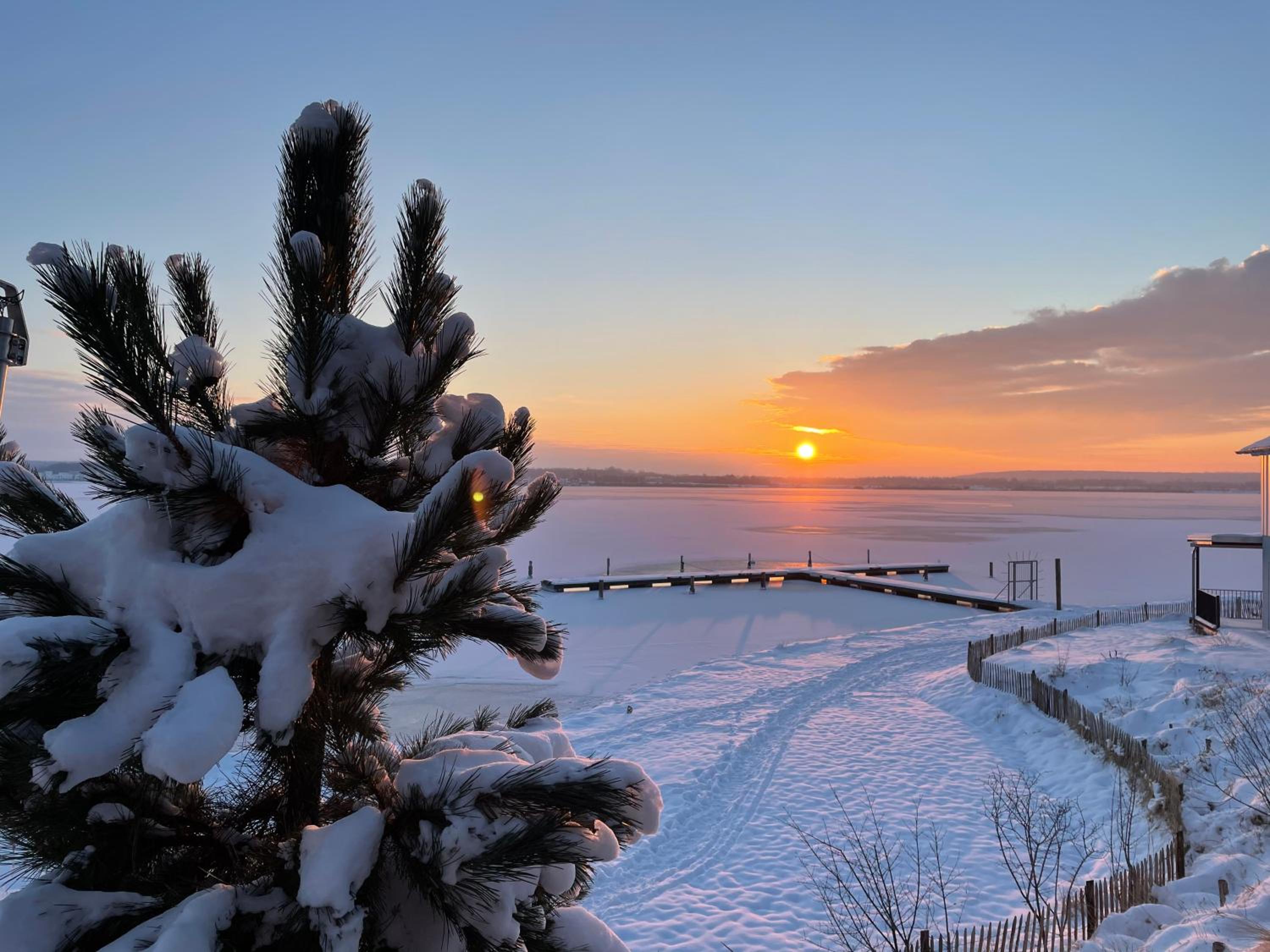 HAUS IM SCHILF 2 - Oase mit Seeblick - Adults only