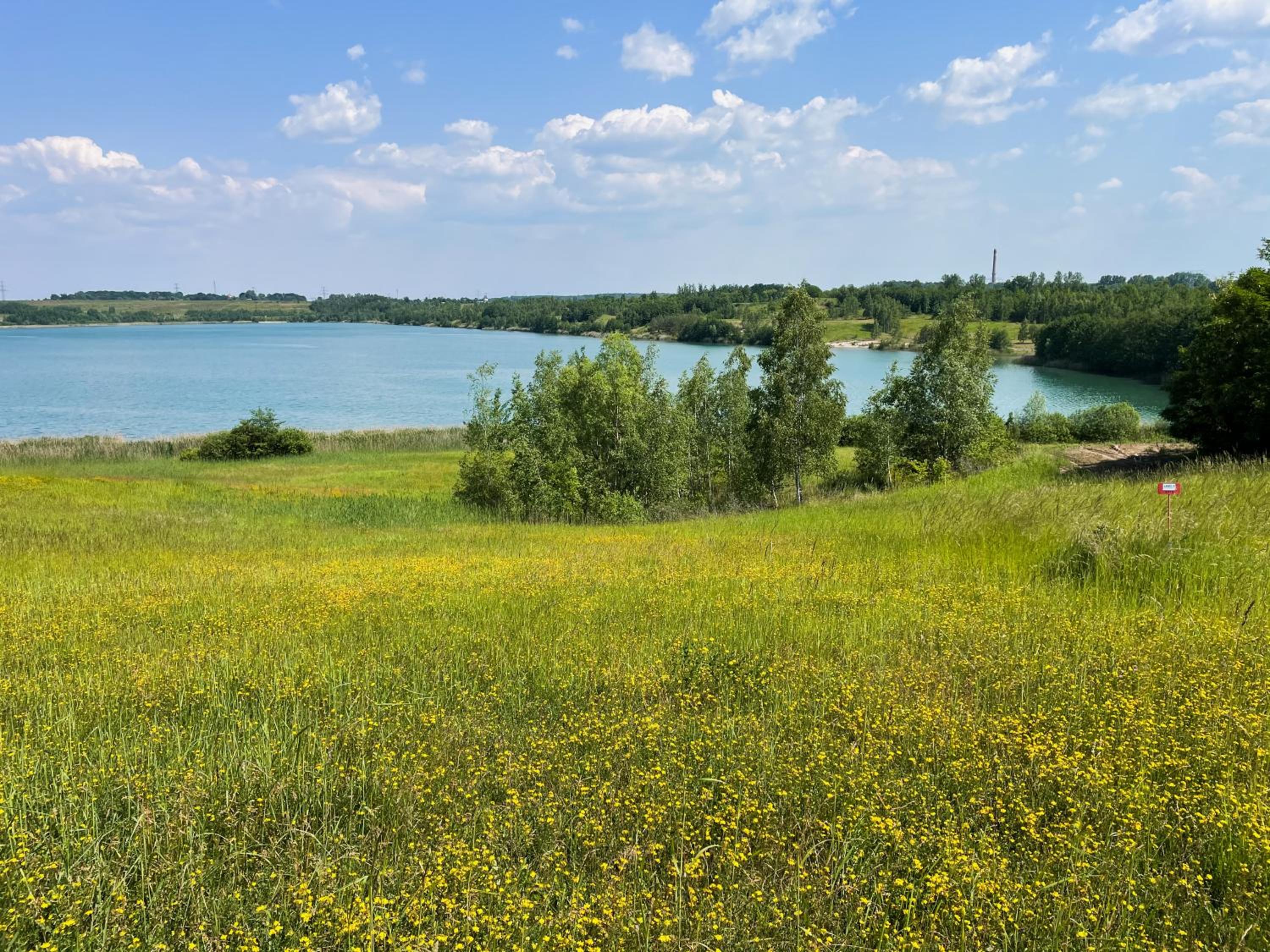 HAUS IM SCHILF 2 - Oase mit Seeblick - Adults only