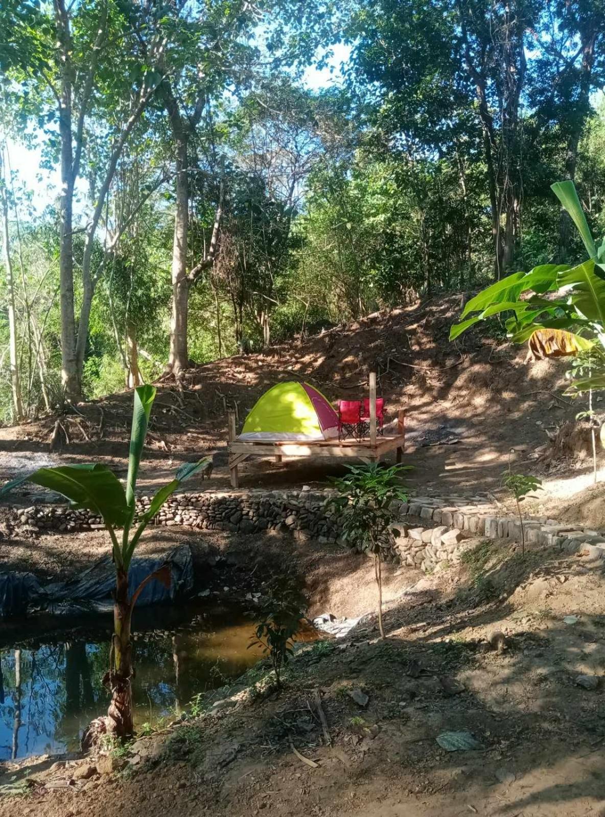 Photo 42