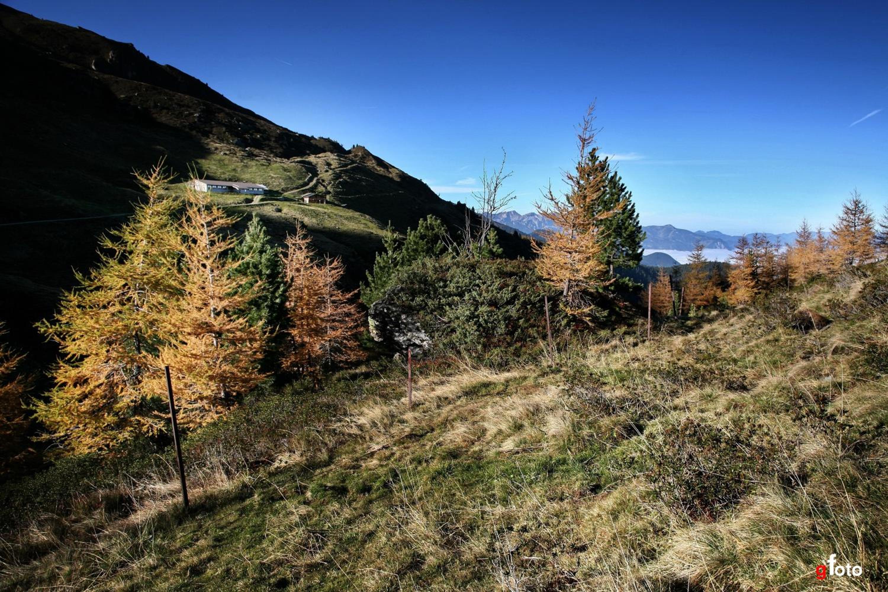 Villa Alpin