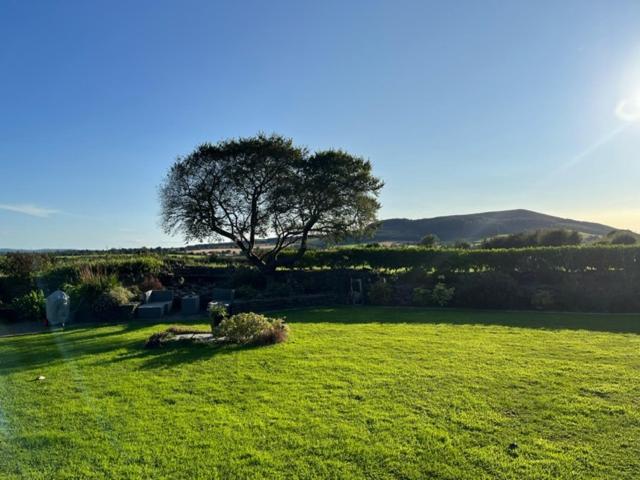 Sweet Lamb Farmhouse