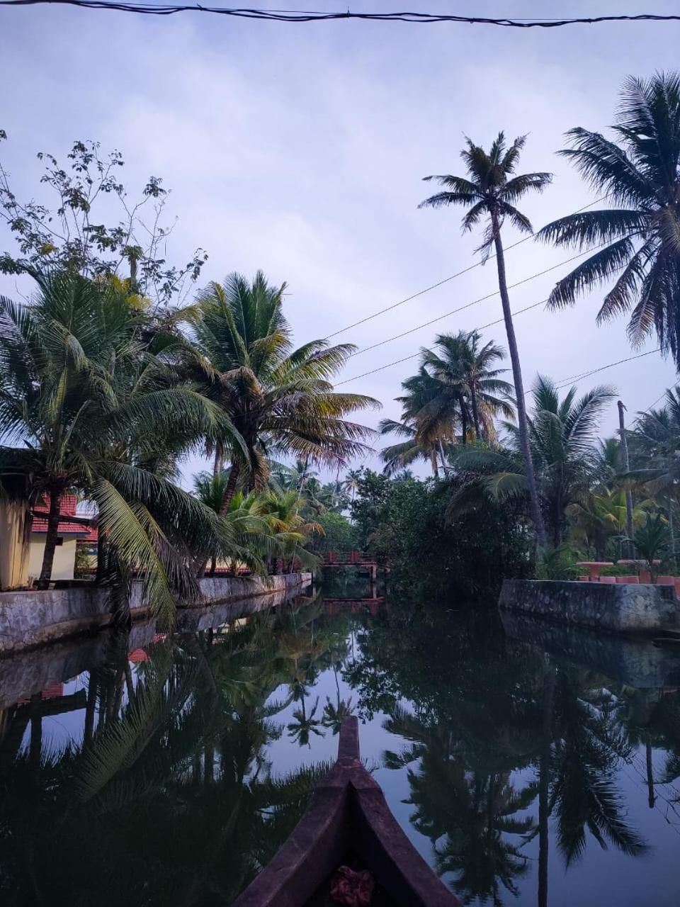 Munroe Vision Panakkattu Homestay view 5