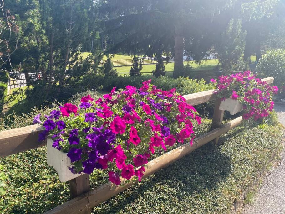 Appartement avec jardin à Crans-Montana