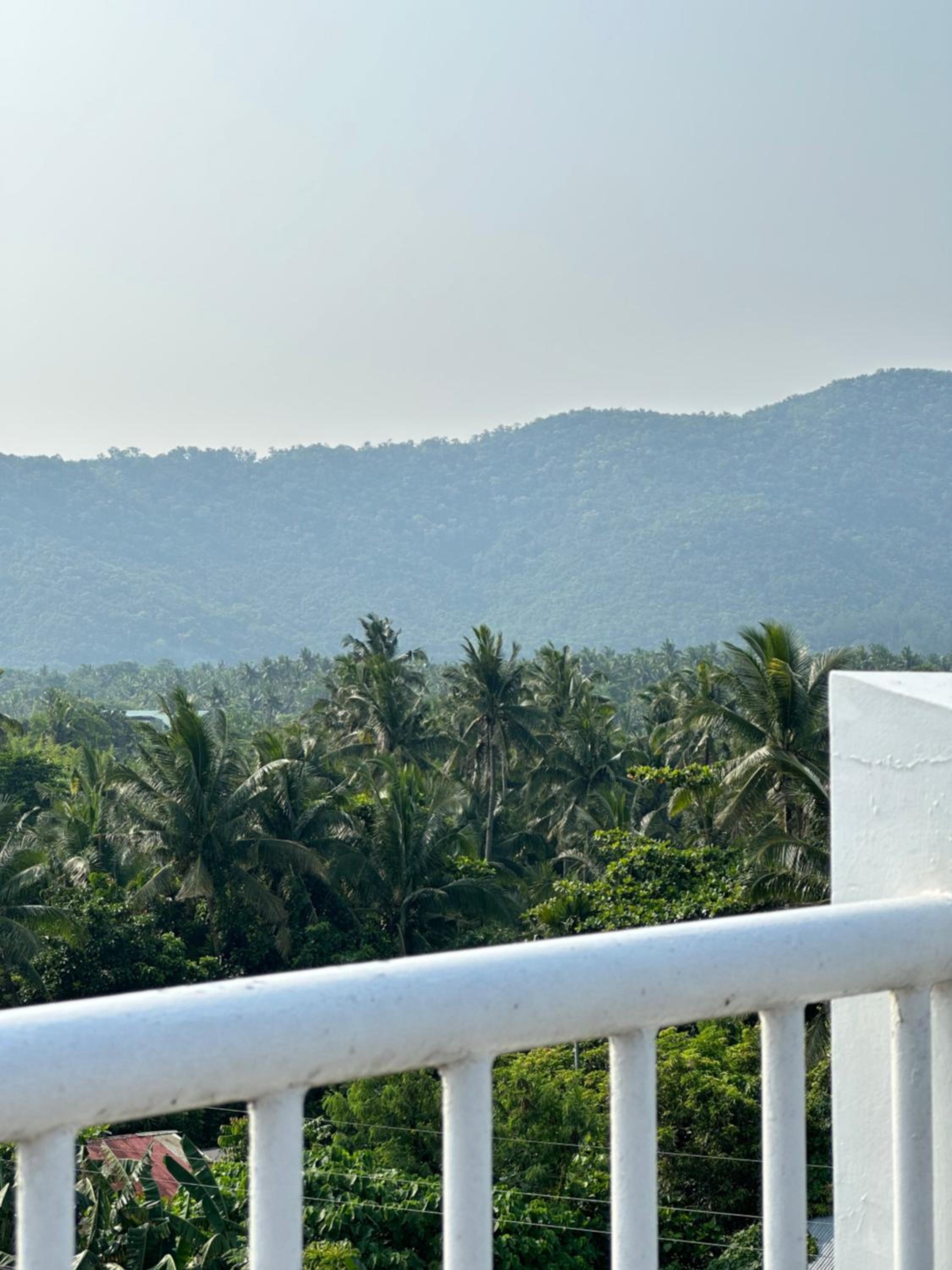 Endless Summer Hotel Baler