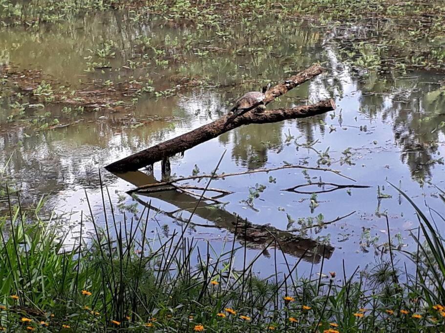 Chalé na natureza a 10min do centro de Balneário Camboriú