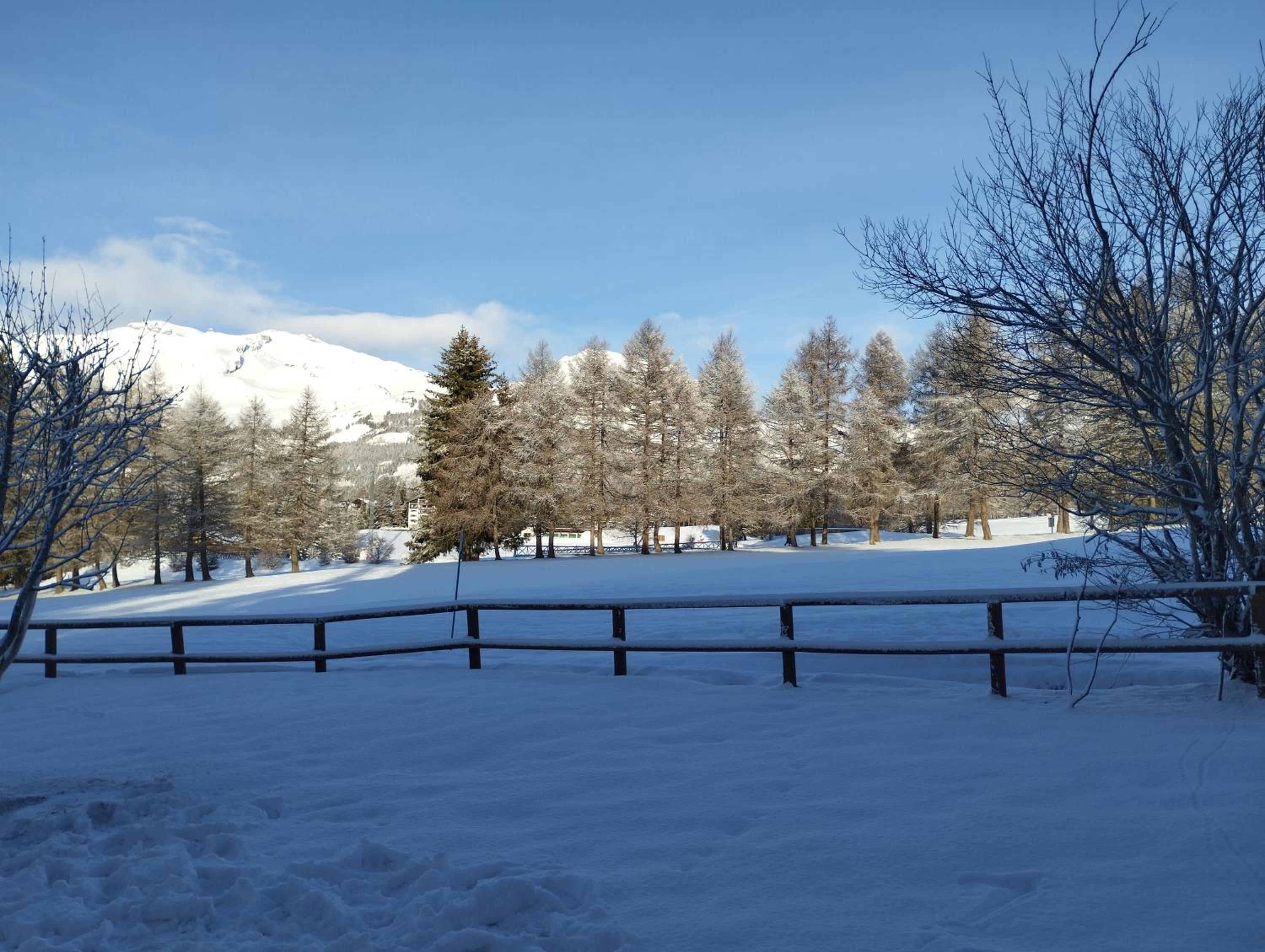 Appartement avec jardin à Crans-Montana