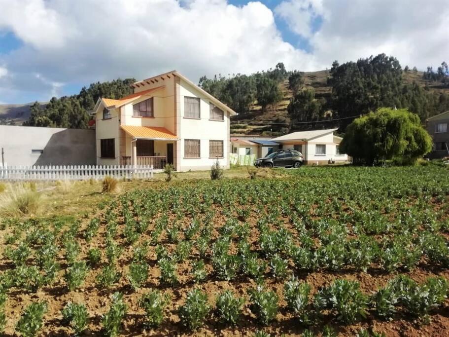Lago Sagrado Titicaca - Casa de Campo & Agroturismo