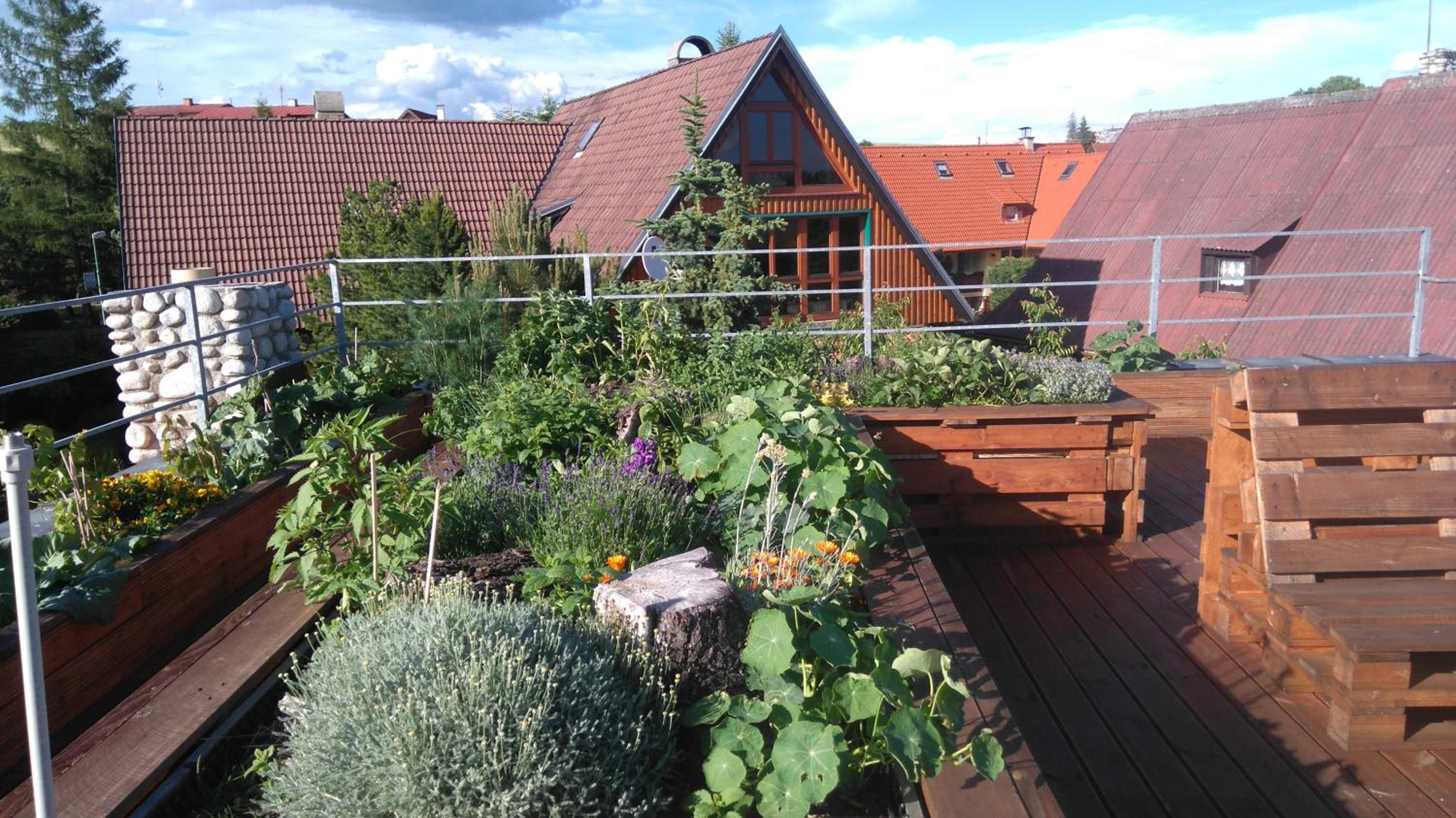 Family House - Apartmany Zuzana view 5