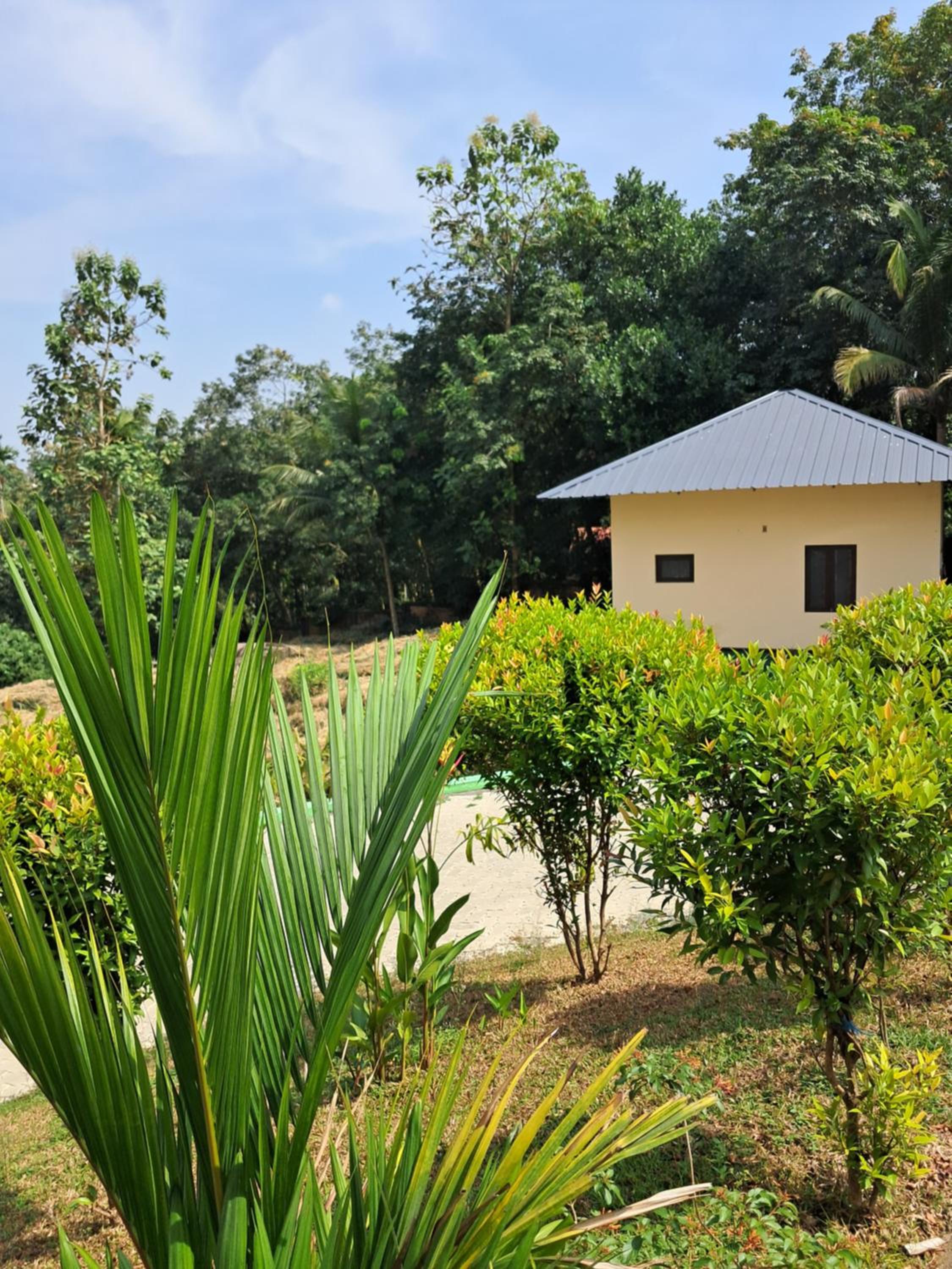 Cochin Vacations - Shamrock Inn - Property Image 3