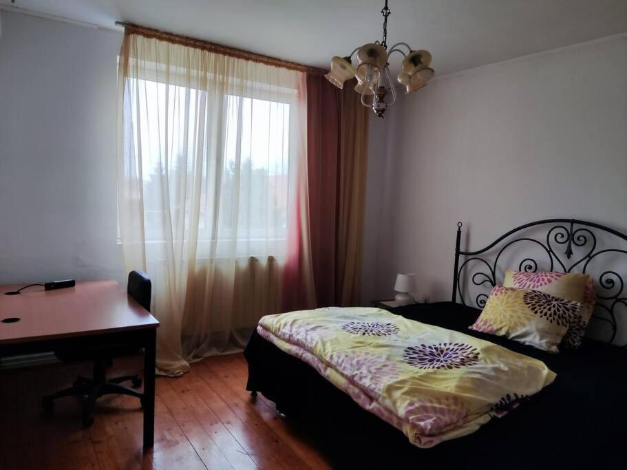 Vila spatioasa 7 camere la lacul BUftea view 2