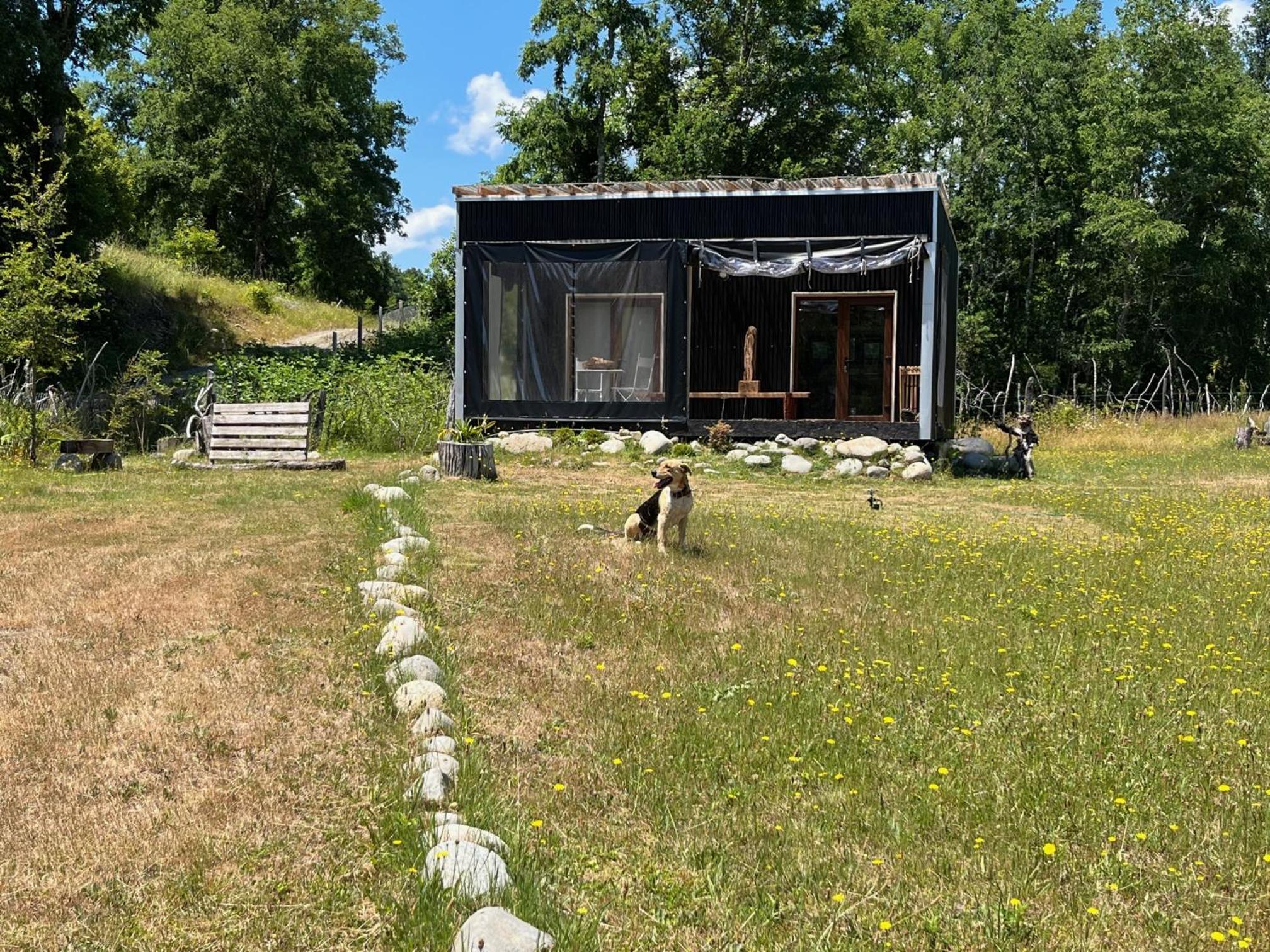 Linda Cabaña pet friendly a orilla rio y bosque, cerca Termas