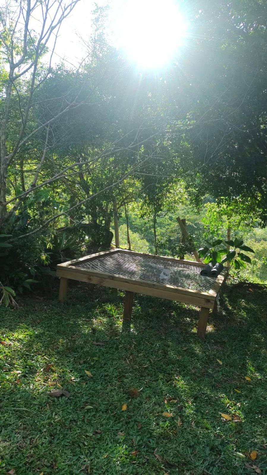 Espaço Isha Canelinha