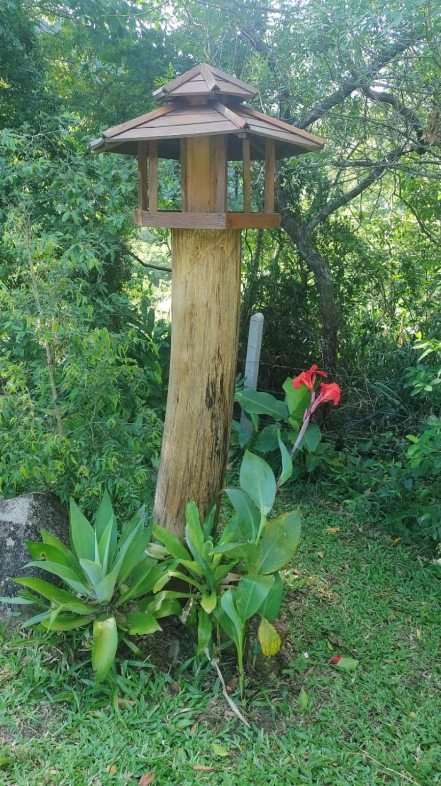Espaço Isha Canelinha