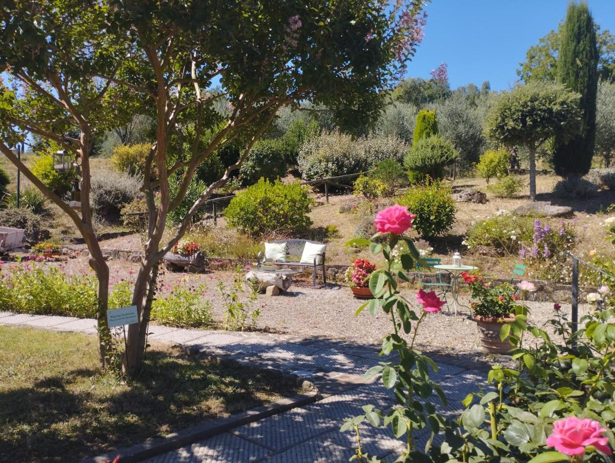 Casa Elisa