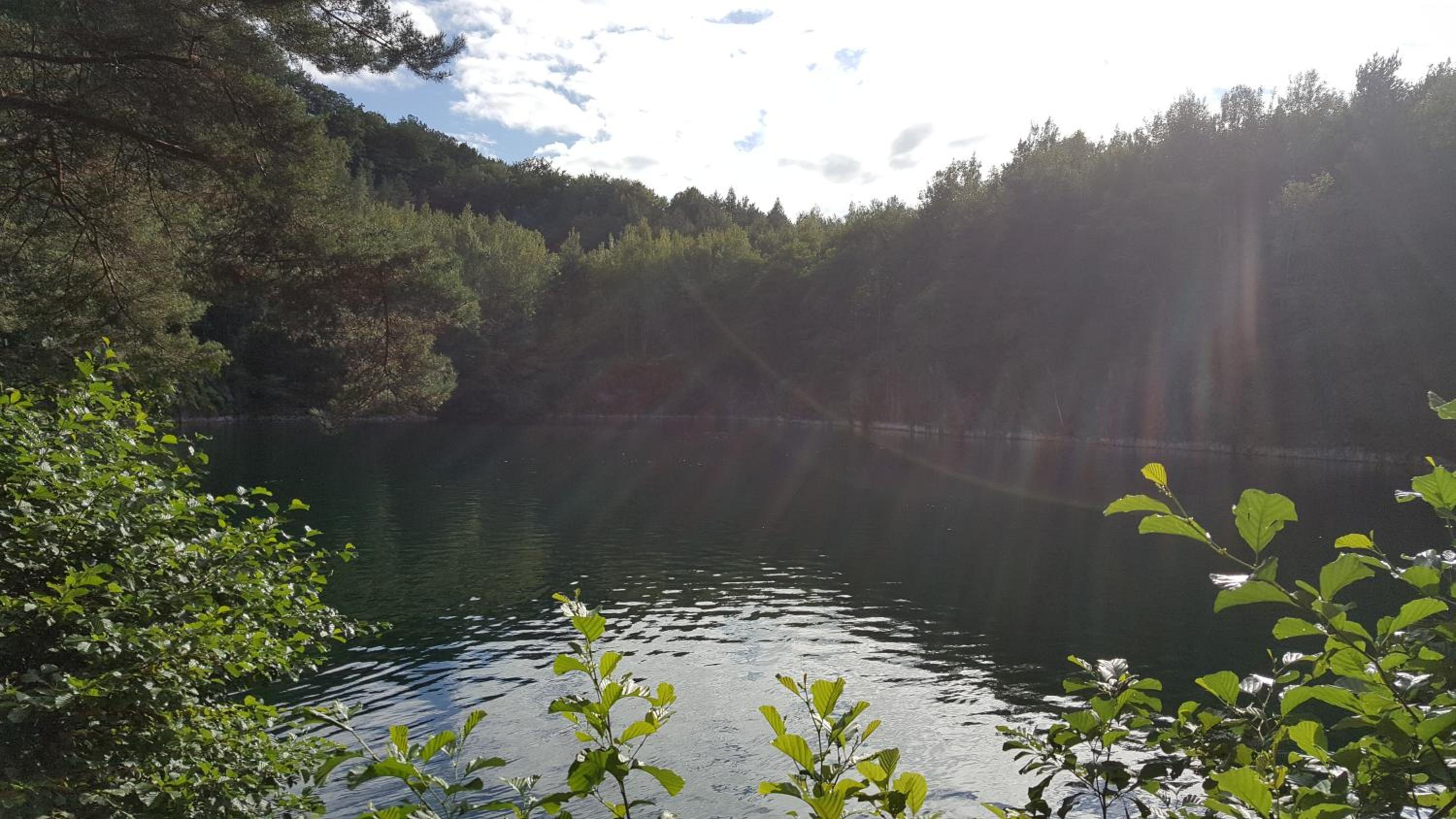 Idyllische Wohnung mitten in der Natur „ Haus Magnolia „