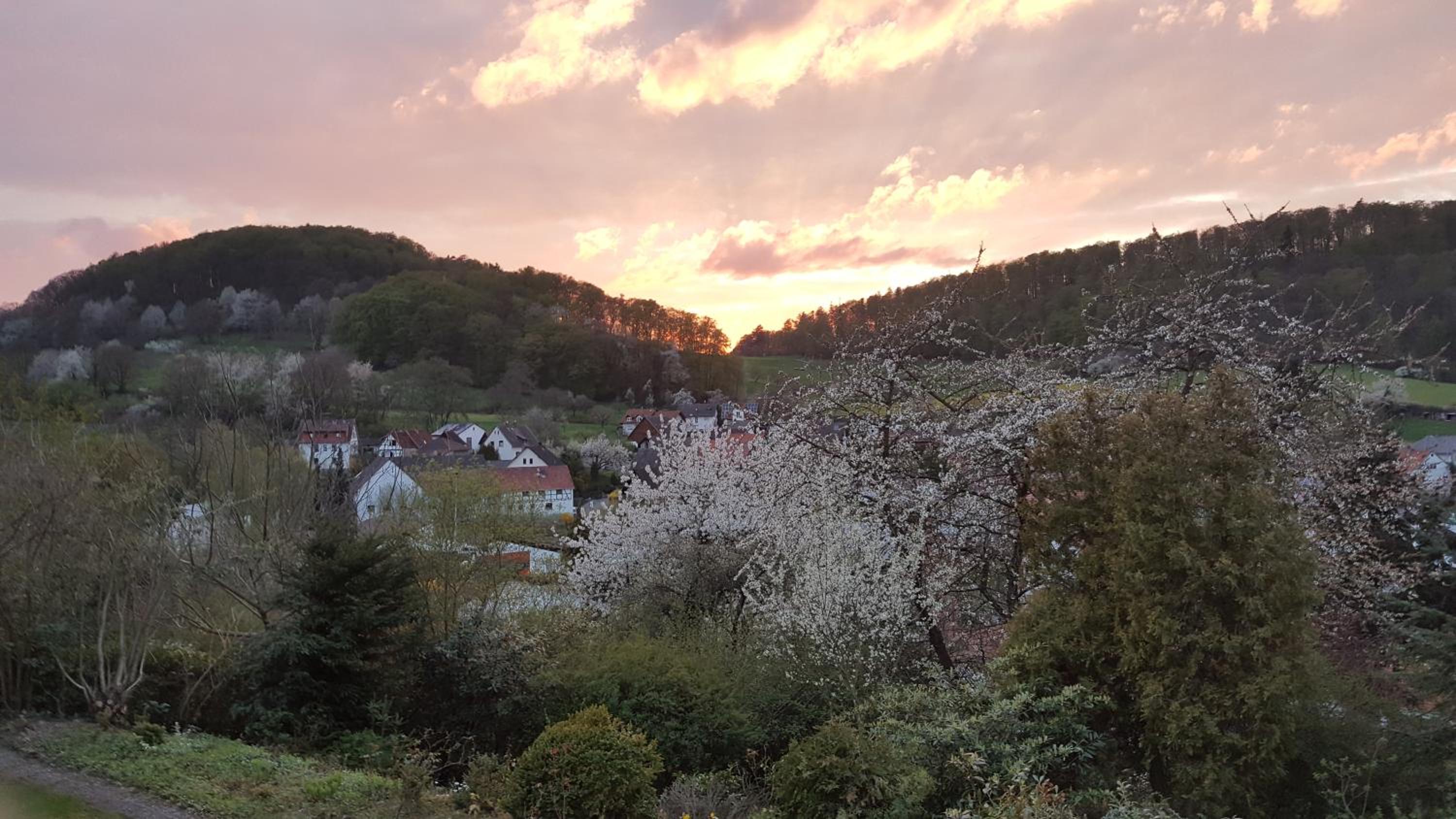 Idyllische Wohnung mitten in der Natur „ Haus Magnolia „