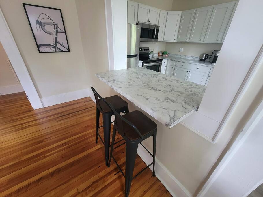 Cozy Swamp Rabbit - Sans Souci Greenville Furman view 3